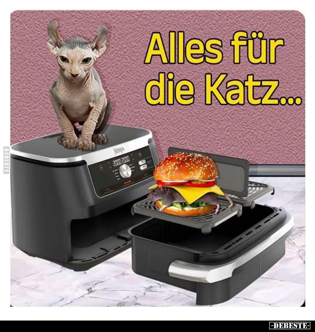 Alles für die Katz...