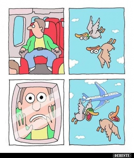  - Lustige Bilder | DEBESTE.de