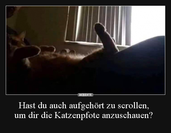 Hast du auch aufgehört zu scrollen, um dir die..