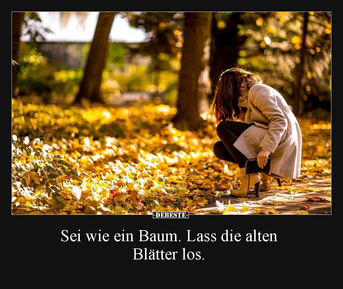 Sei wie ein Baum. Lass die alten Blätter los.