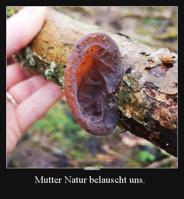 Mutter Natur belauscht uns... - Lustige Bilder | DEBESTE.de