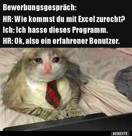 Bewerbungsgespräch: HR: Wie kommst du mit Excel.. - Lustige Bilder | DEBESTE.de