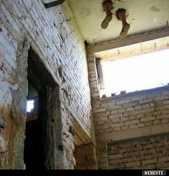  - Lustige Bilder | DEBESTE.de