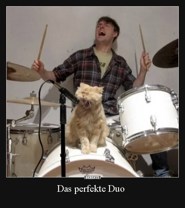 Das perfekte Duo.. - Lustige Bilder | DEBESTE.de