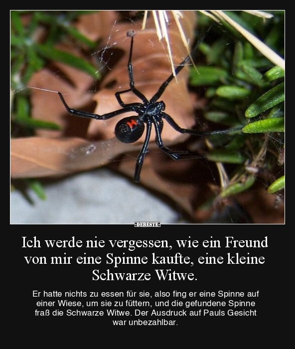 Ich werde nie vergessen, wie ein Freund von mir eine.. - Lustige Bilder | DEBESTE.de