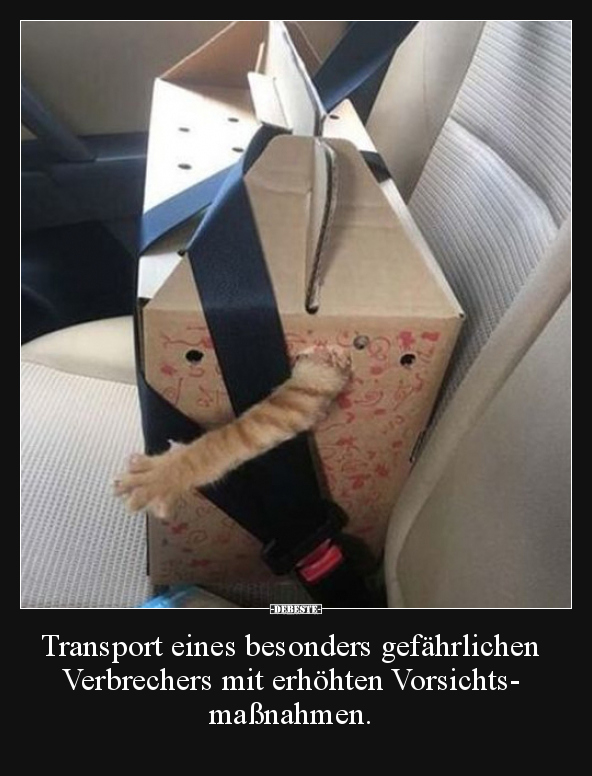 Transport eines besonders gefährlichen Verbrechers mit.. - Lustige Bilder | DEBESTE.de