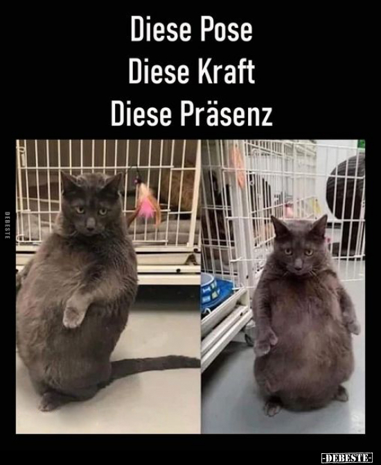 Diese Pose, Diese Kraft, Diese Präsenz