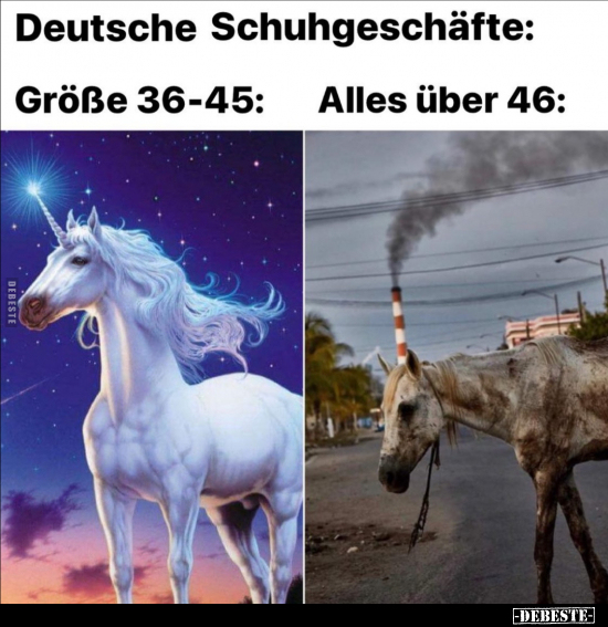 Deutsche Schuhgeschäfte.. - Lustige Bilder | DEBESTE.de