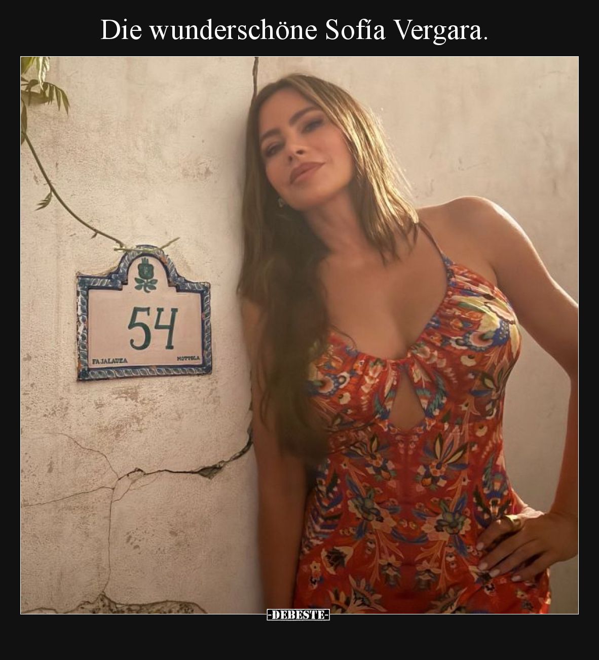 Die wunderschöne Sofía Vergara.