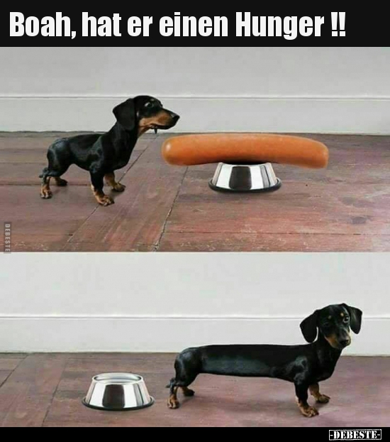 Boah, hat er einen Hunger !!.. - Lustige Bilder | DEBESTE.de