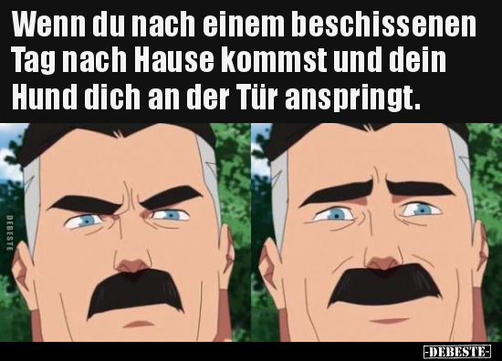 Wenn du nach einem beschissenen Tag nach Hause kommst und.. - Lustige Bilder | DEBESTE.de