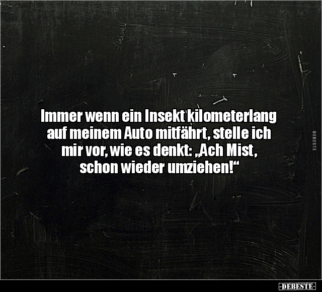 Immer wenn ein Insekt kilometerlang auf meinem Auto.. - Lustige Bilder | DEBESTE.de