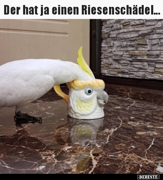 Der hat ja einen Riesenschädel...