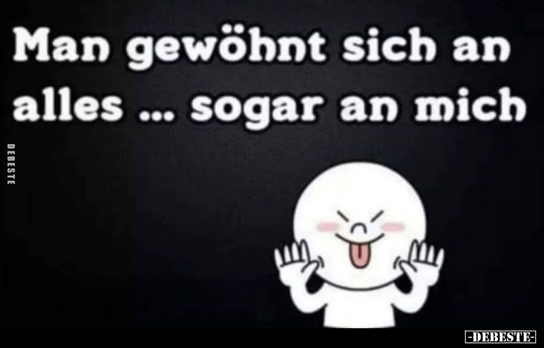 Man gewöhnt sich an alles... sogar an mich.
