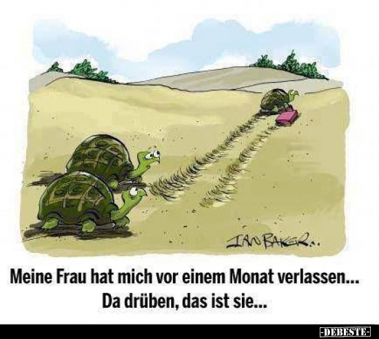 Meine Frau hat mich vor einem Monat verlassen...