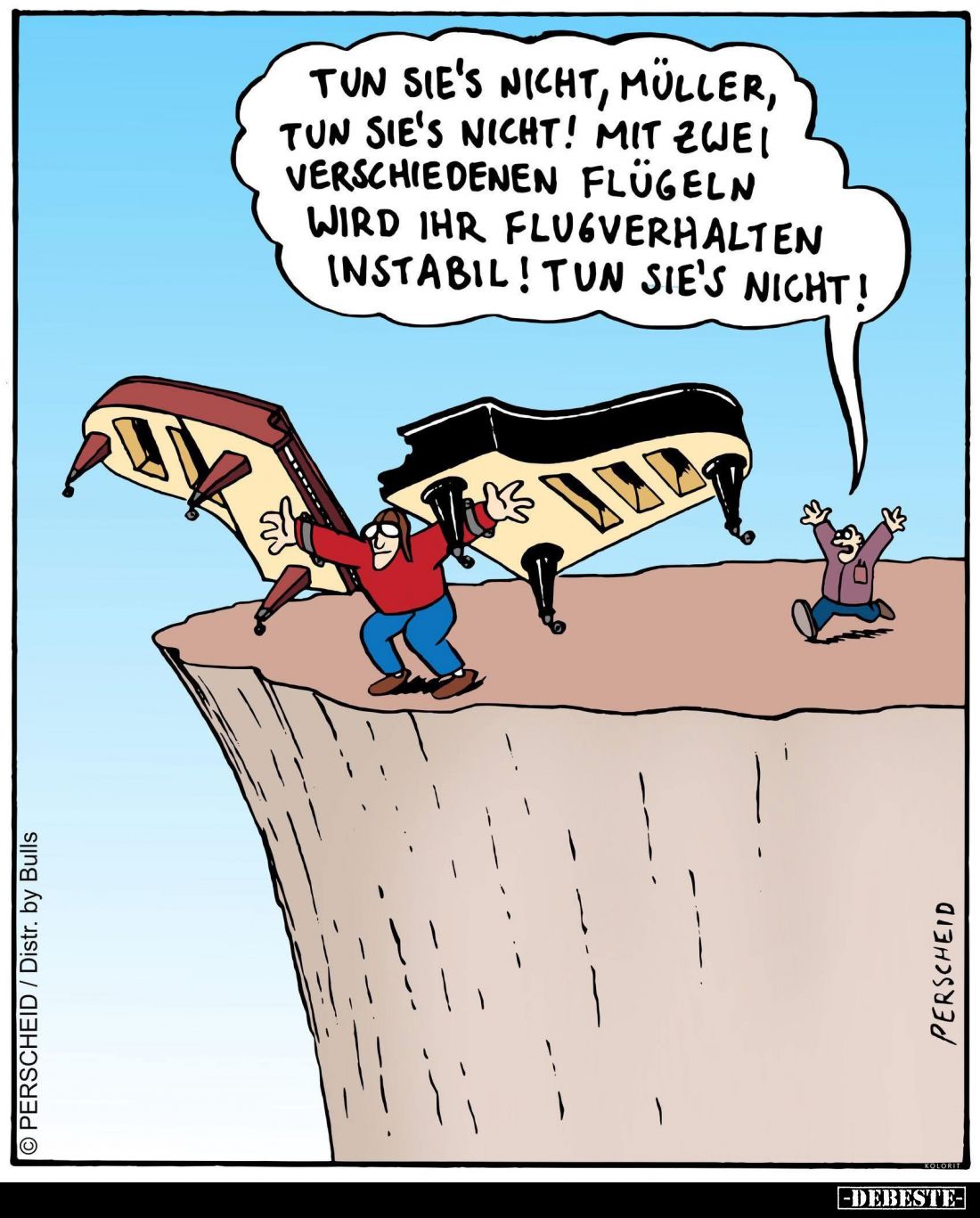 Tun sie's nicht, Müller, tun sie's nicht! Mit zwei verschiedenen Flügeln wird ihr Flugverhalten instabil! Tun sie's nicht!