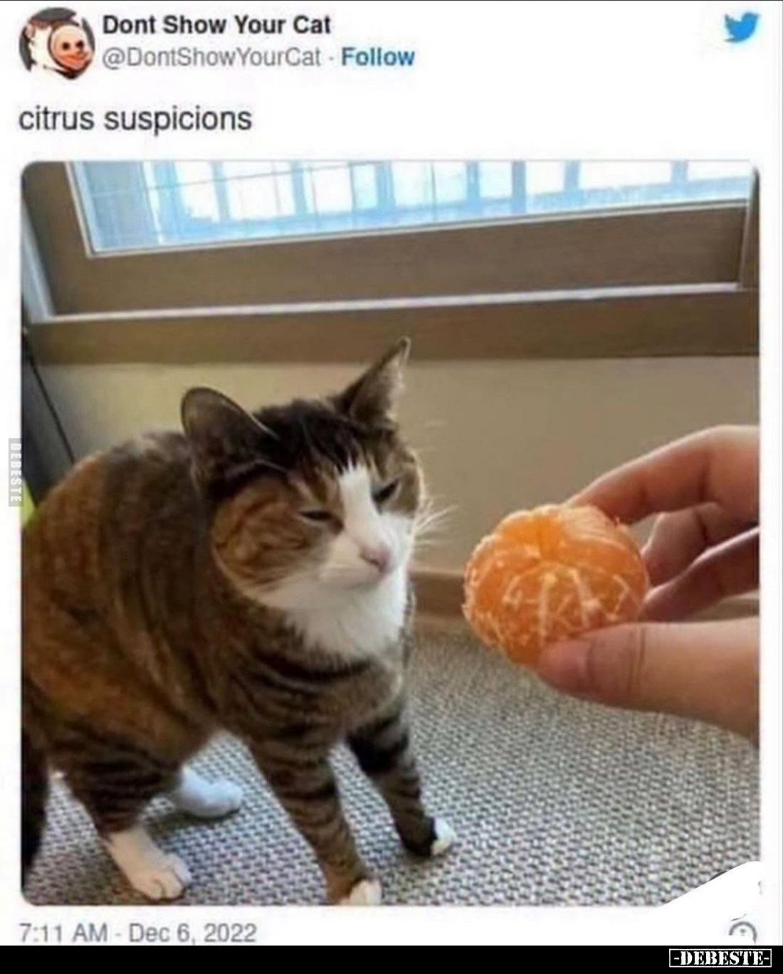  - Lustige Bilder | DEBESTE.de