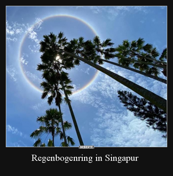 Regenbogenring in Singapur.. - Lustige Bilder | DEBESTE.de