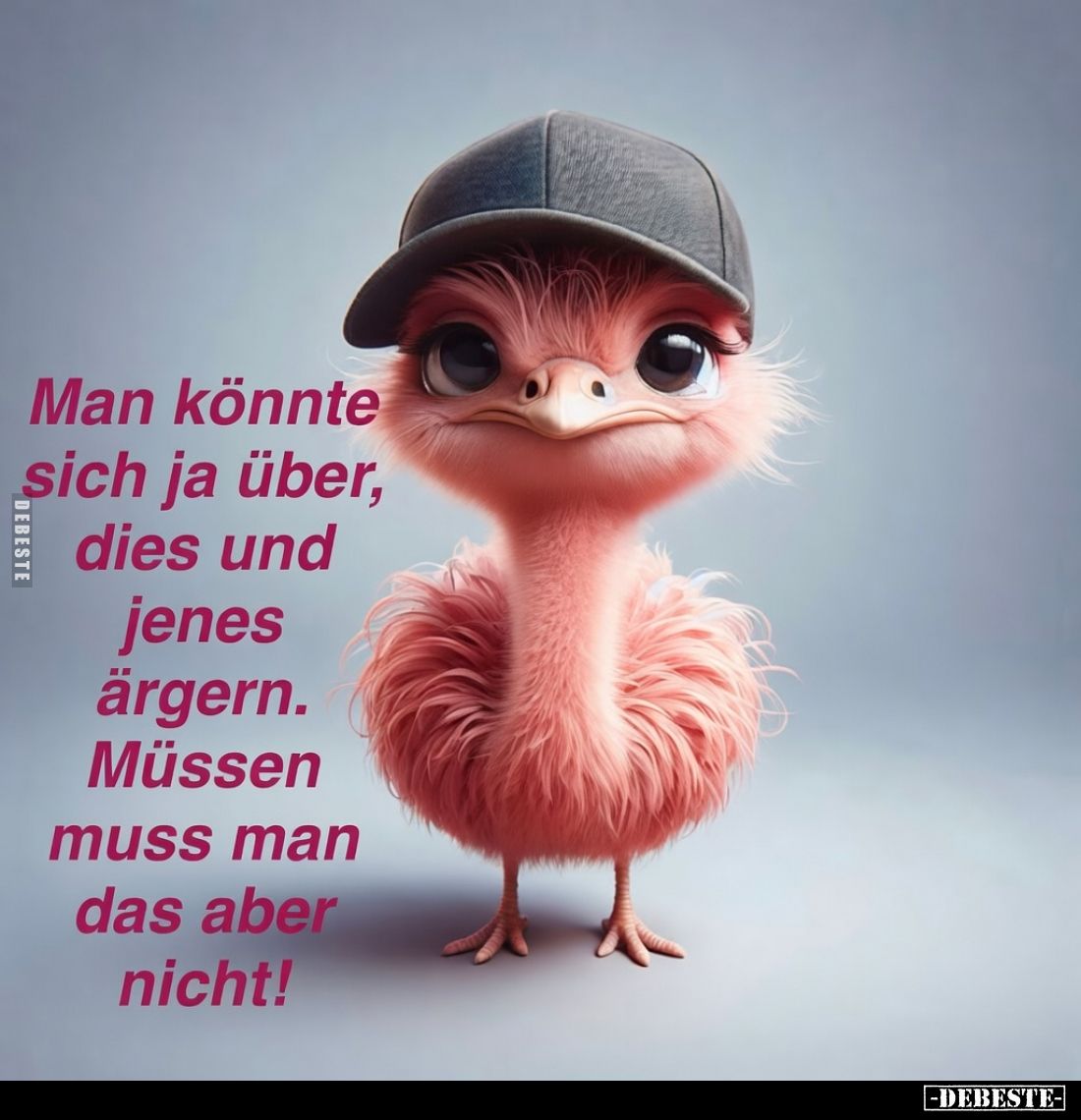 Man könnte sich ja über, dies und jenes ärgern.
Müssen muss man das aber nicht!