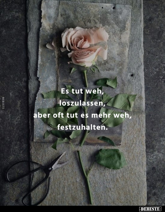 Es tut weh, loszulassen, aber oft tut es mehr weh, festzuhalten.