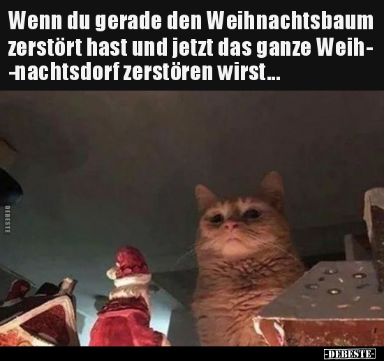 Wenn du gerade den Weihnachtsbaum zerstört hast und jetzt..