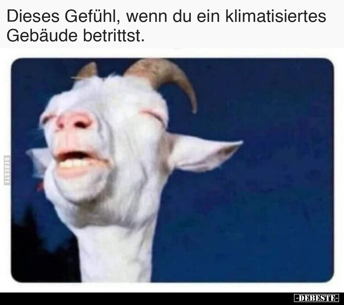 Dieses Gefühl, wenn du ein klimatisiertes Gebäude betrittst.