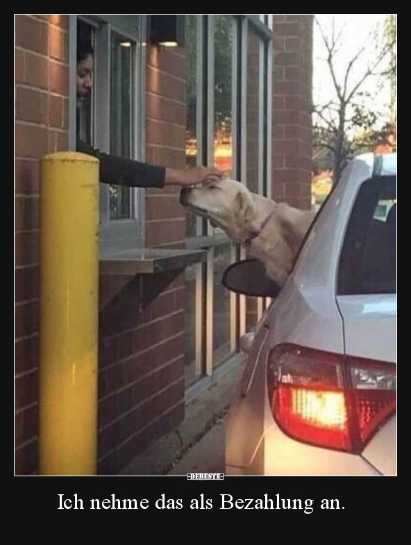 Ich nehme das als Bezahlung an...