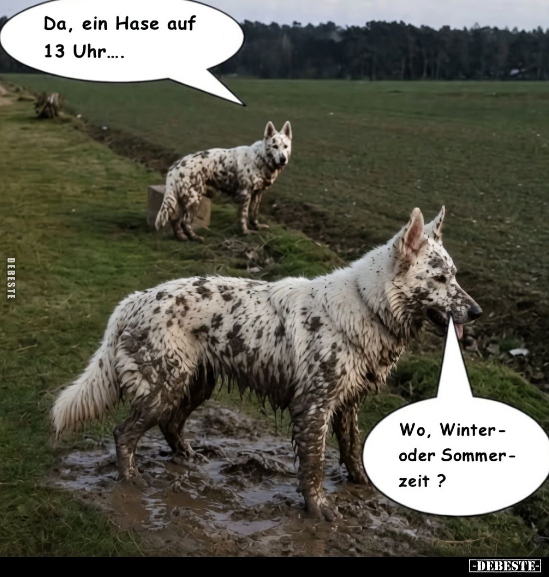 Da, ein Hase auf 13 Uhr....

Wo, Winter- oder Sommerzeit?