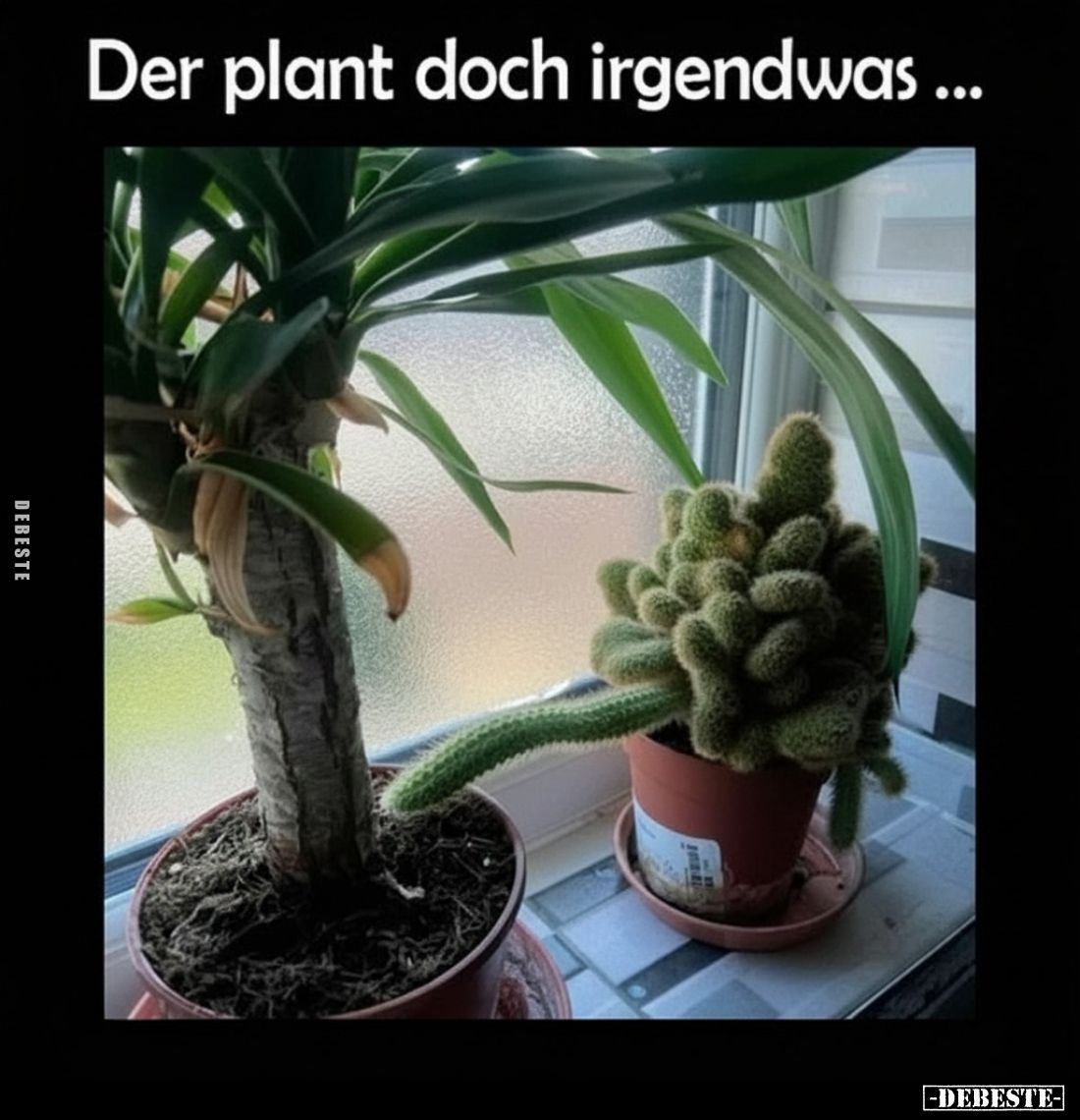Der plant doch irgendwas...