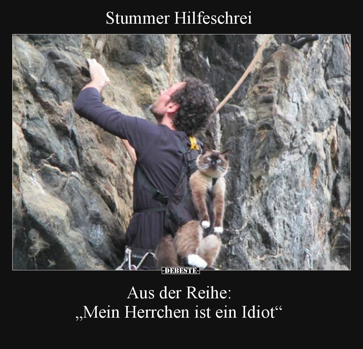 Stummer Hilfeschrei.. - Lustige Bilder | DEBESTE.de