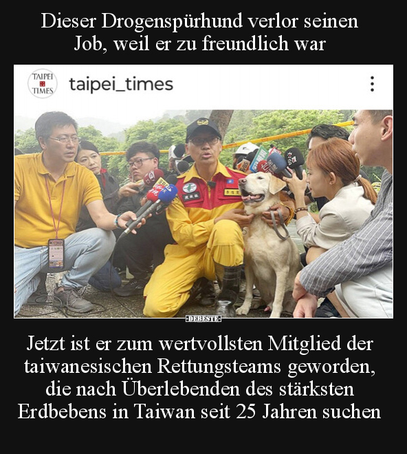 Dieser Drogenspürhund verlor seinen Job, weil er zu.. - Lustige Bilder | DEBESTE.de