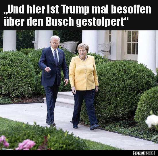 "Und hier ist Trump mal besoffen über den Busch.." - Lustige Bilder | DEBESTE.de