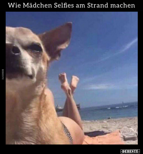 Wie Mädchen Selfies am Strand machen.. - Lustige Bilder | DEBESTE.de