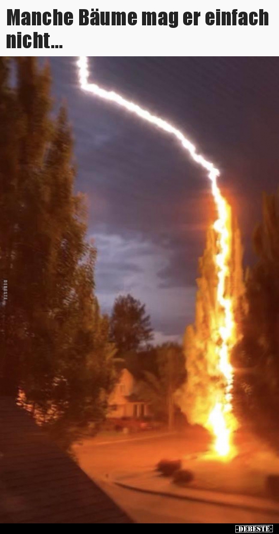 Manche Bäume mag er einfach nicht...