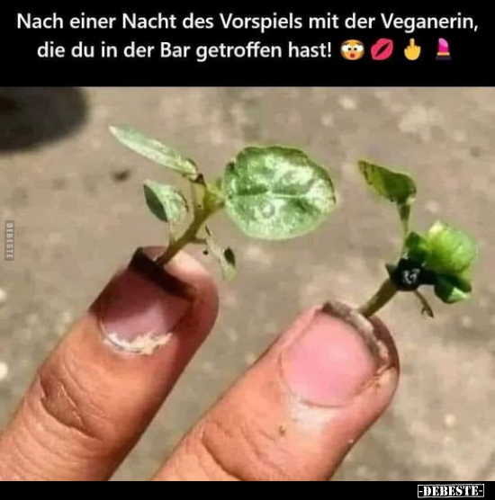 Nach einer Nacht des Vorspiels mit der Veganerin.. - Lustige Bilder | DEBESTE.de