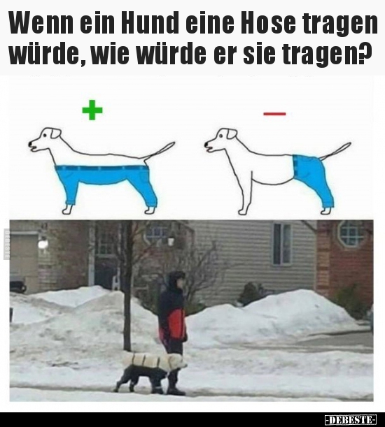 Wenn ein Hund eine Hose tragen würde, wie würde er sie..