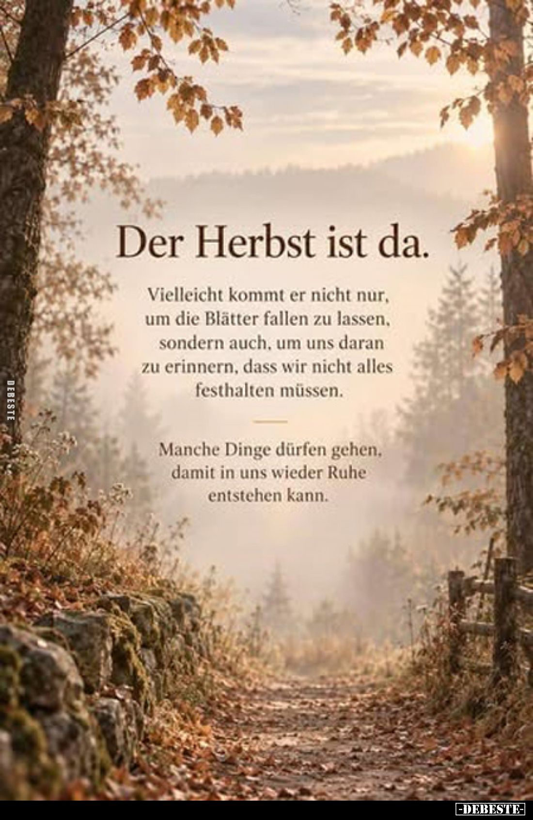 Der Herbst ist da.
Vielleicht kommt er nicht nur, um die Blätter fallen zu lassen, sondern auch, um uns daran zu erinnern,...