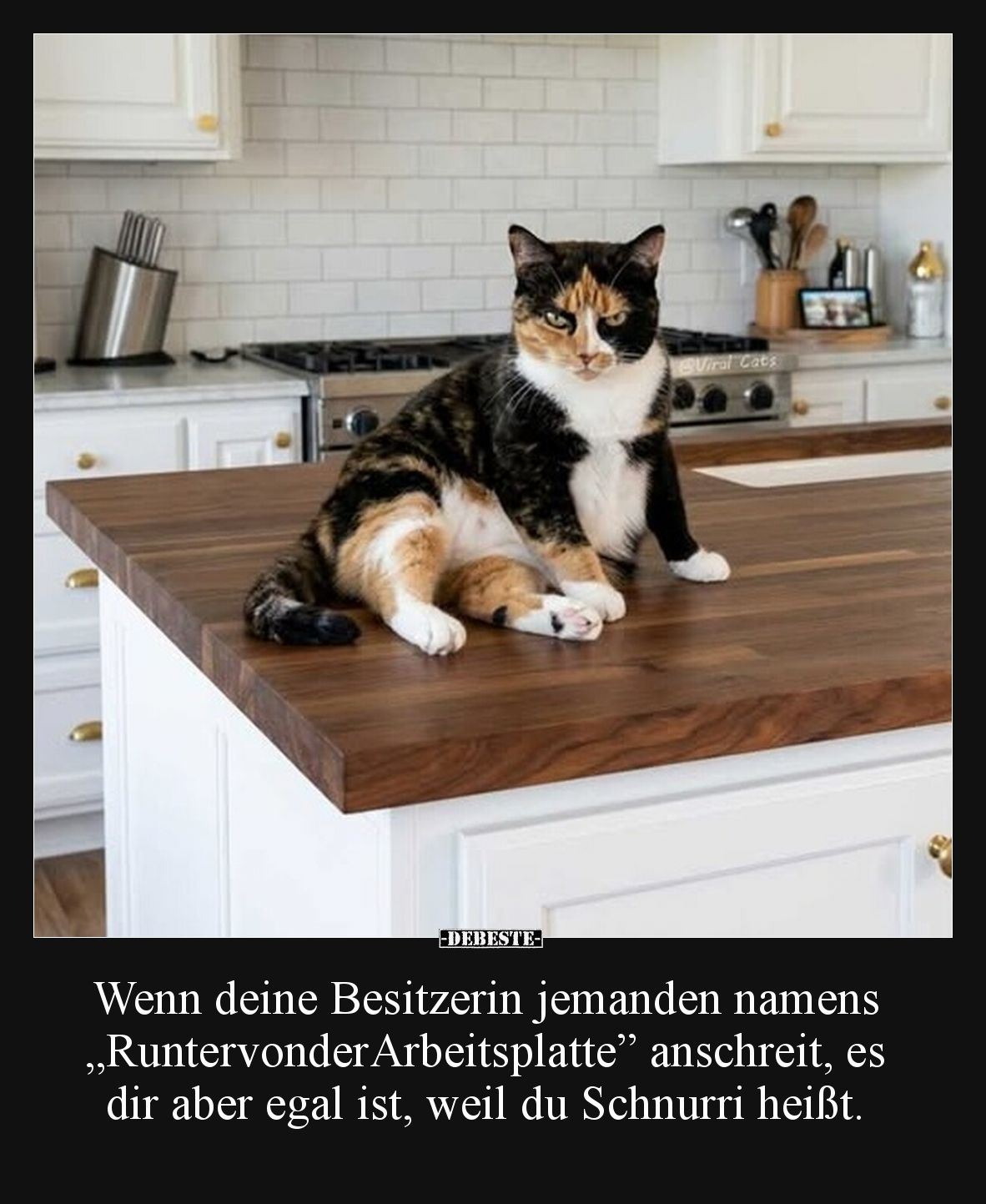 Wenn deine Besitzerin jemanden namens.. - Lustige Bilder | DEBESTE.de