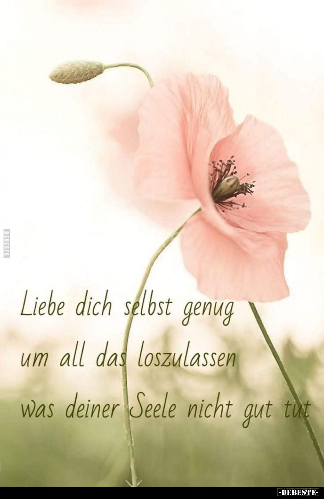 Liebe dich selbst genug um all das loszulassen was deiner Seele nicht gut tut.