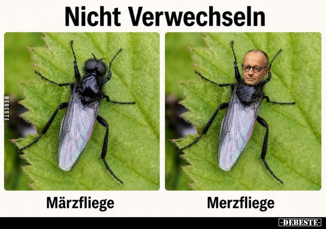 Nicht Verwechseln:
Märzfliege.