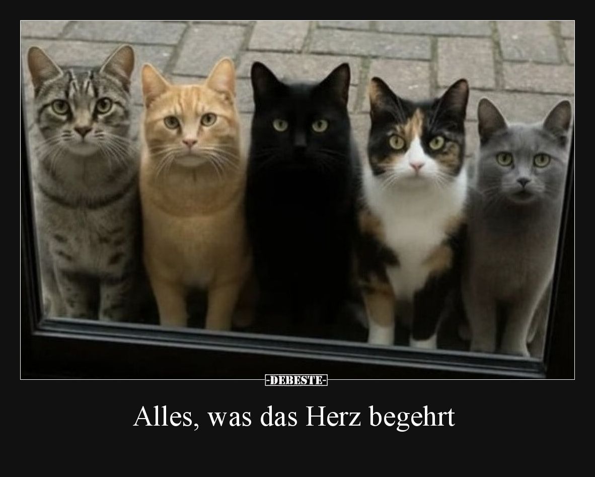 Alles, was das Herz begehrt