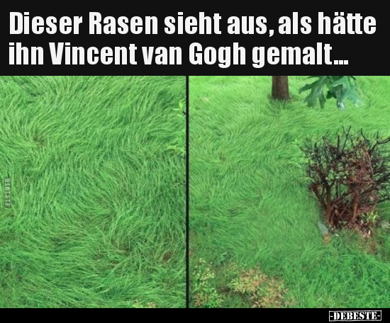 Dieser Rasen sieht aus, als hätte ihn Vincent van Gogh.. - Lustige Bilder | DEBESTE.de