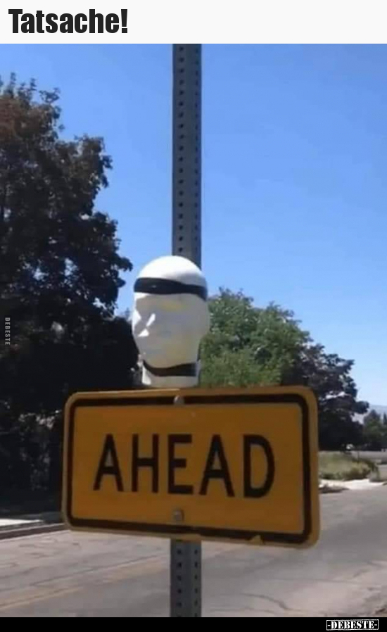 Tatsache!..