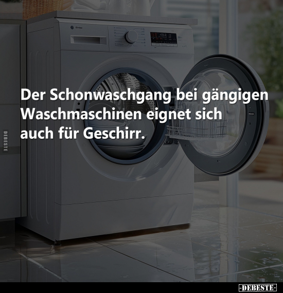 Der Schonwaschgang bei gängigen Waschmaschinen.. - Lustige Bilder | DEBESTE.de