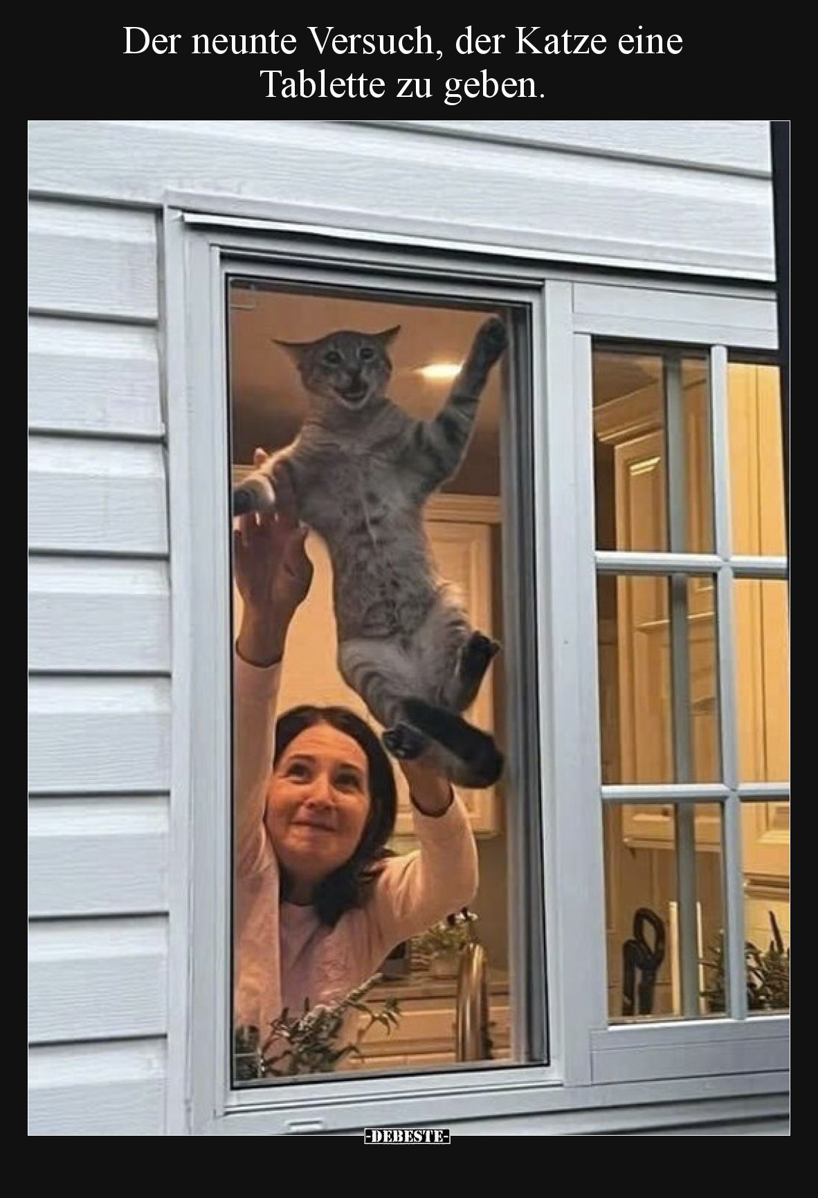 Der neunte Versuch, der Katze eine Tablette zu geben.