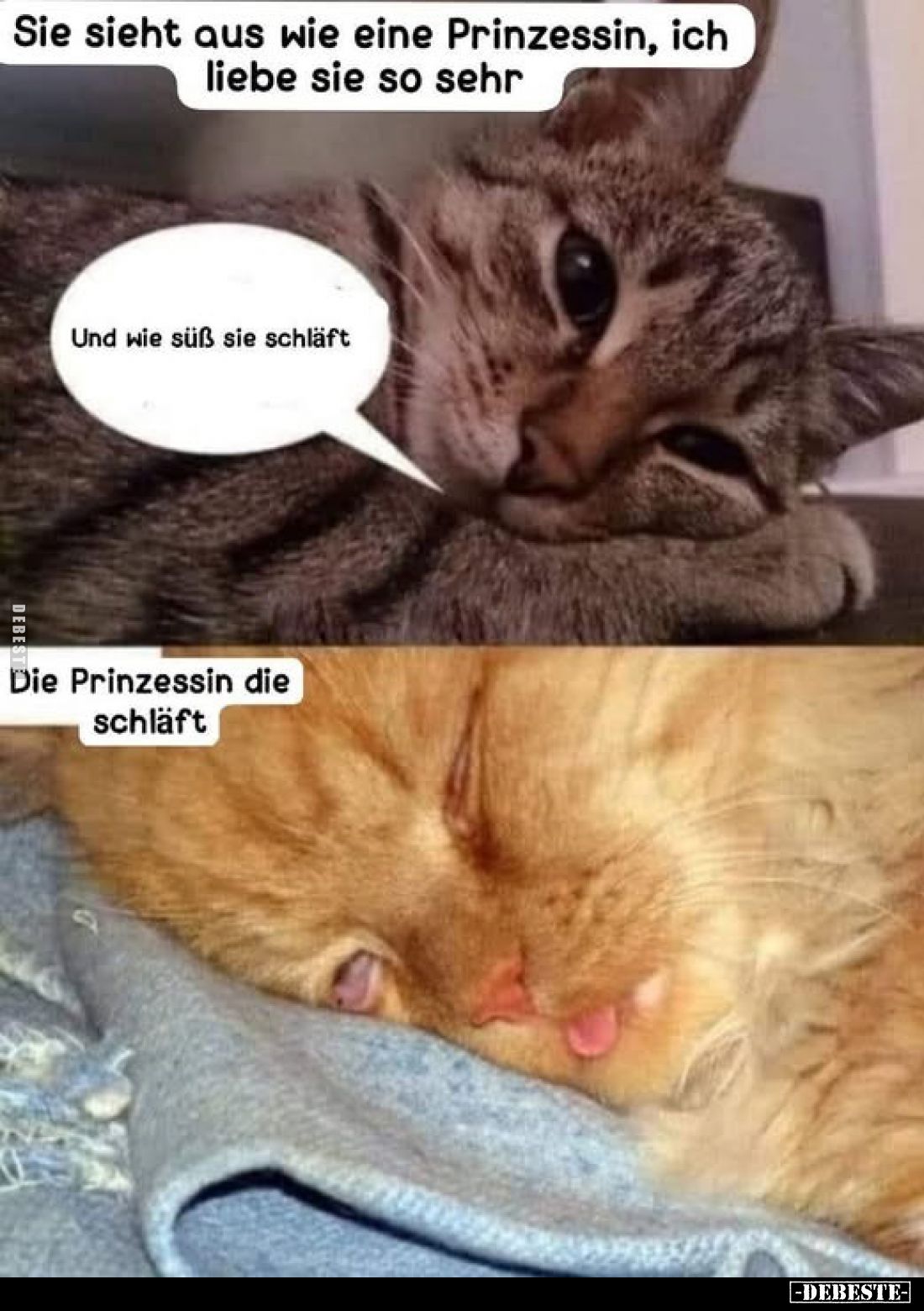 Sie sieht aus wie eine Prinzessin, ich liebe sie so sehr
Und wie süß sie schläft
-
Die Prinzessin die schläft