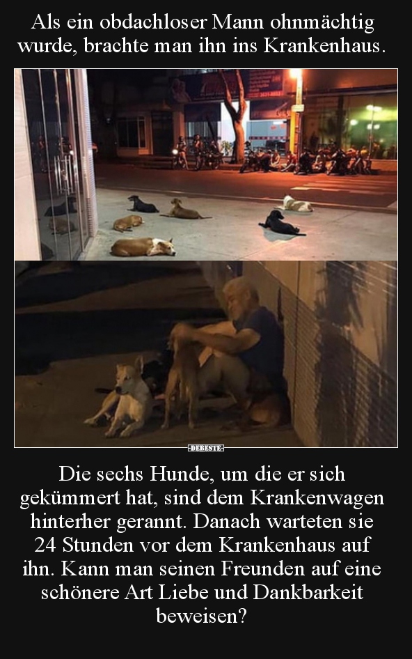Als ein obdachloser Mann ohnmächtig wurde, brachte man ihn.. - Lustige Bilder | DEBESTE.de