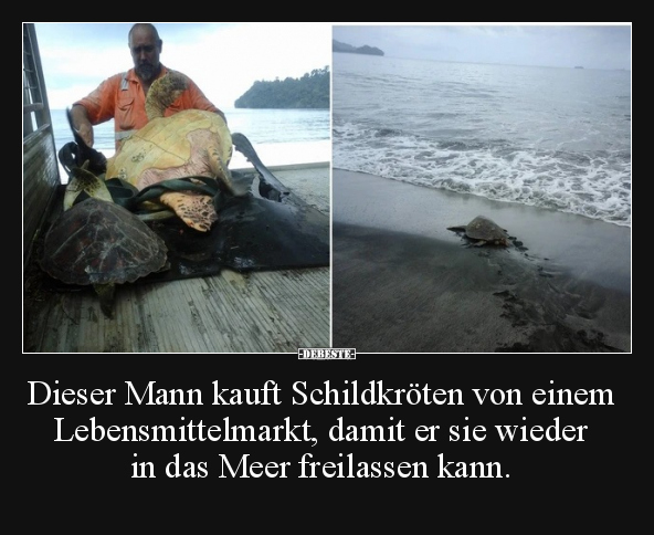 Dieser Mann kauft Schildkröten von einem Lebensmittelmarkt.. - Lustige Bilder | DEBESTE.de