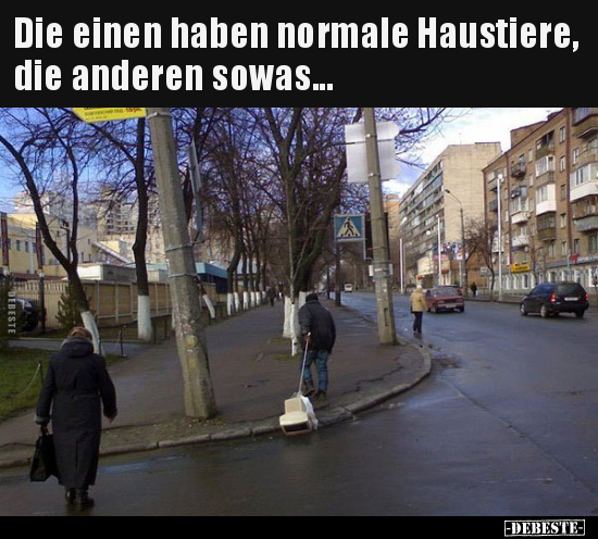 Die einen haben normale Haustiere, die anderen sowas... - Lustige Bilder | DEBESTE.de