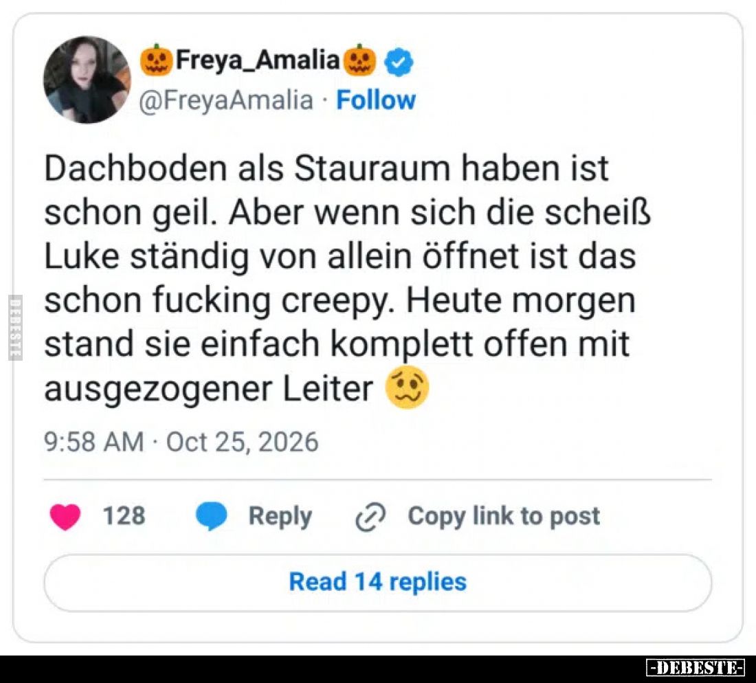 Dachboden als Stauraum haben ist schon geil. Aber wenn sich die scheiß Luke ständig von allein öffnet ist das schon fucking c...